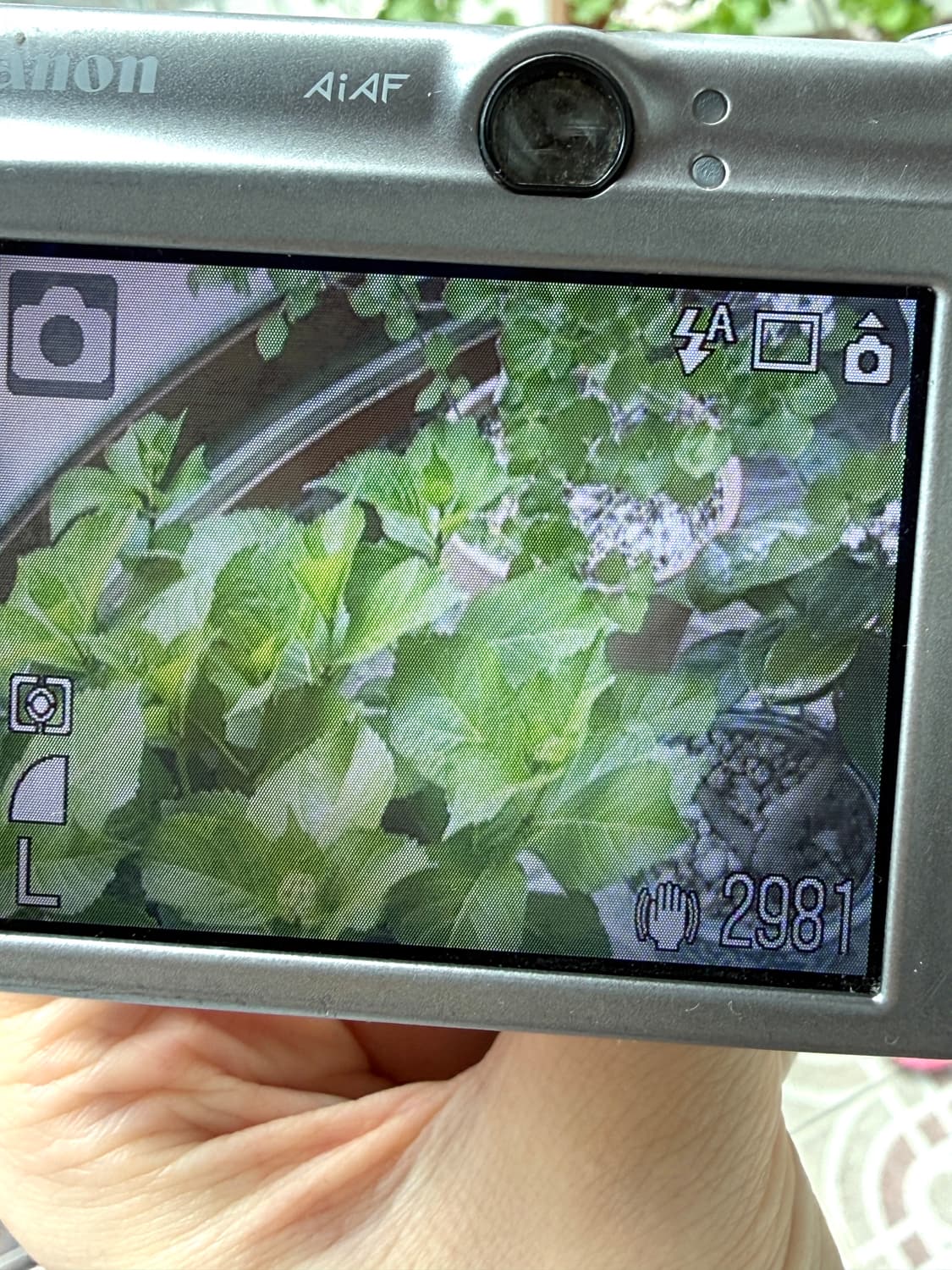 *박스풀구성* 캐논 익서스 canon ixus 850 상품이미지8