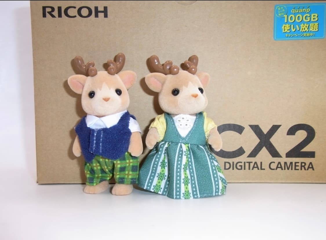 미품 풀박✨️리코 CX2 블랙 🖤 클래식 감성 + 강력 줌 디카 💕 상품이미지7