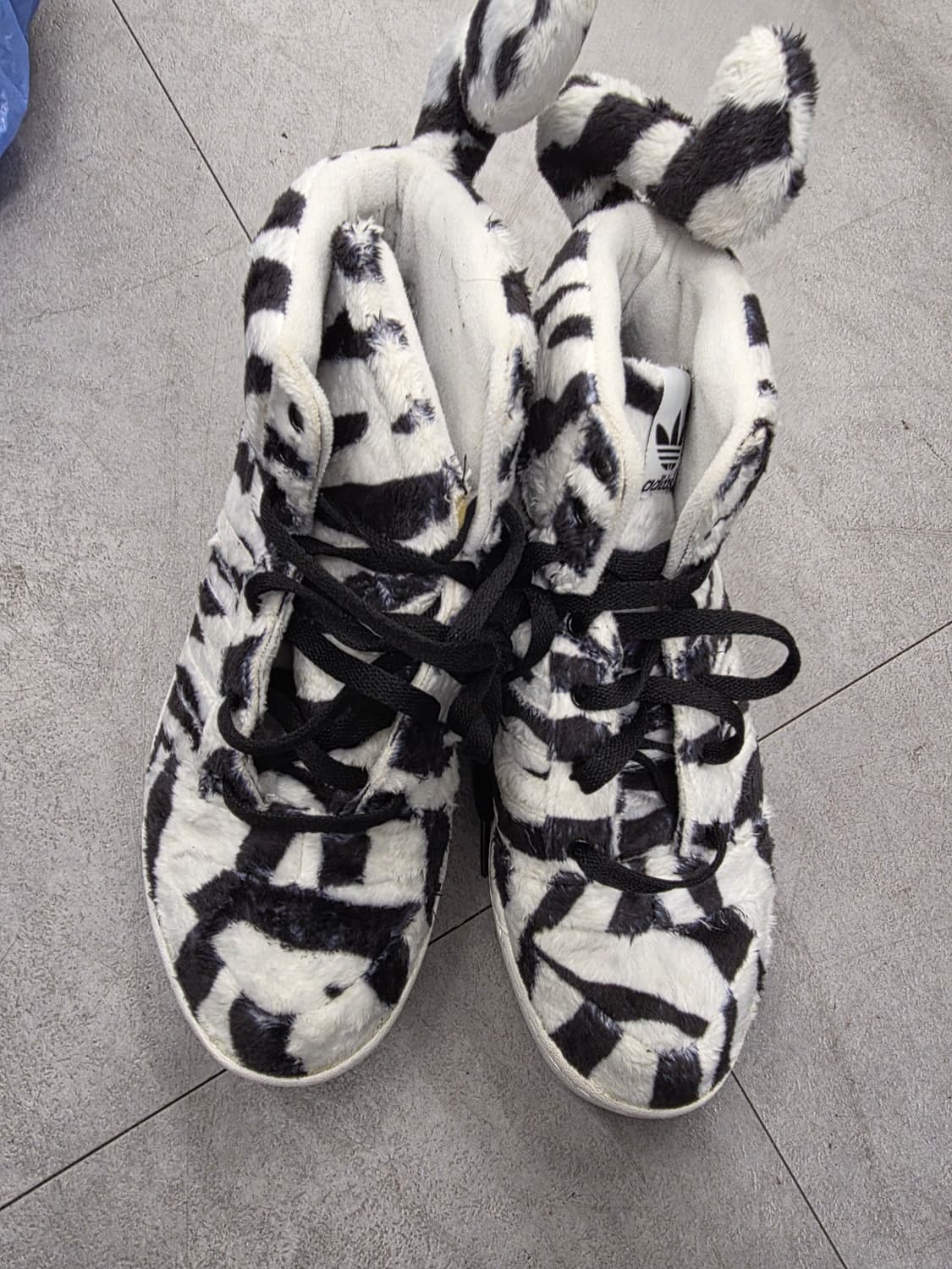 제레미스캇 지브라(270) 상품이미지2