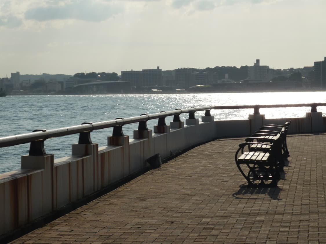 올림푸스 Olympus SP-320 그레이 상품이미지5