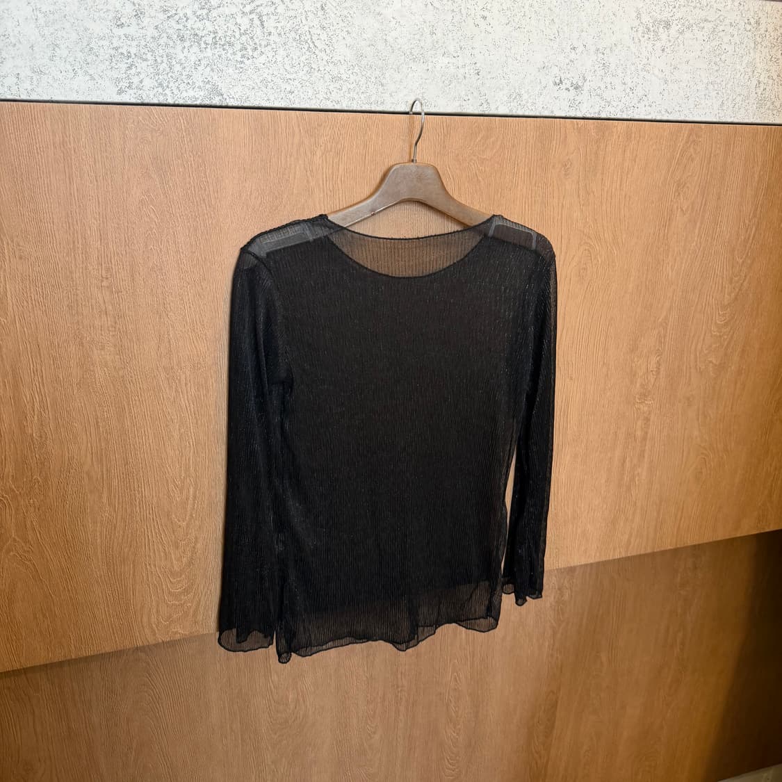 빈티지 라운드넥 롱슬리브 시스루 블라우스 플리츠 텍스처 디테일 블랙 상품이미지2