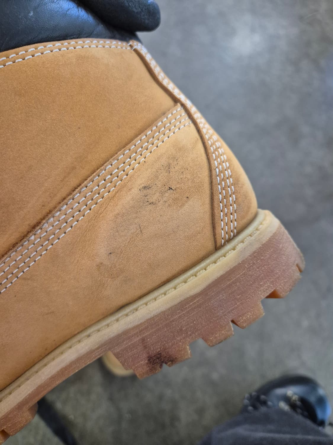 팀버랜드 6인치 부츠 7M (240) 프라임로프트 200g 상품이미지7