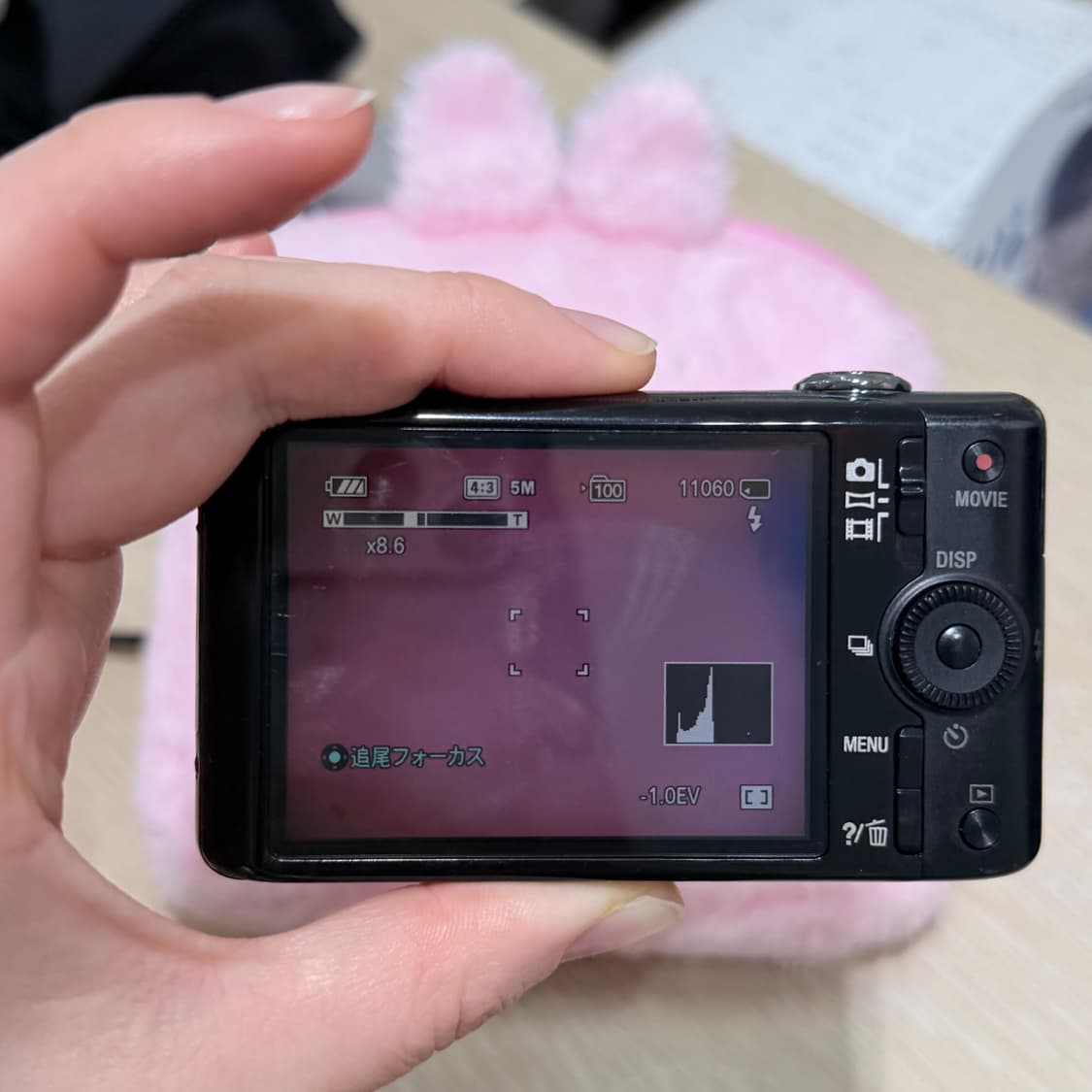 풀구성! 소니 사이버샷 DSC-WX100 (바로사용가능)최마태님 추천 상품이미지5