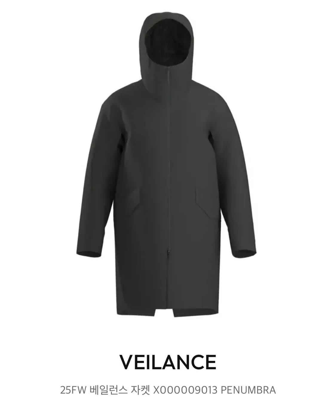 아크테릭스 베일런스  상품이미지2