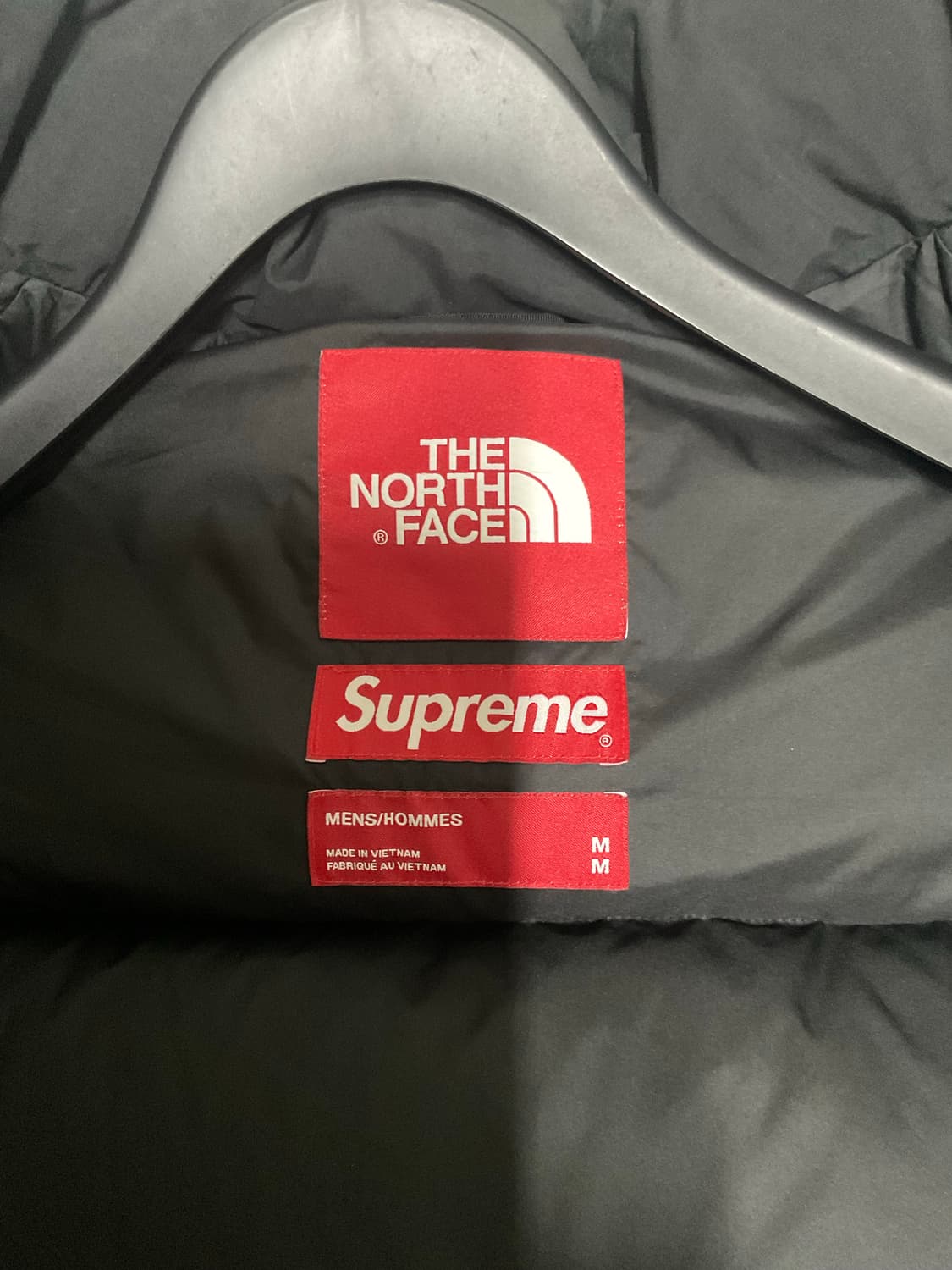 슈프림 x 노스페이스 자유의 여신상 발토로 패딩 M 상품이미지5