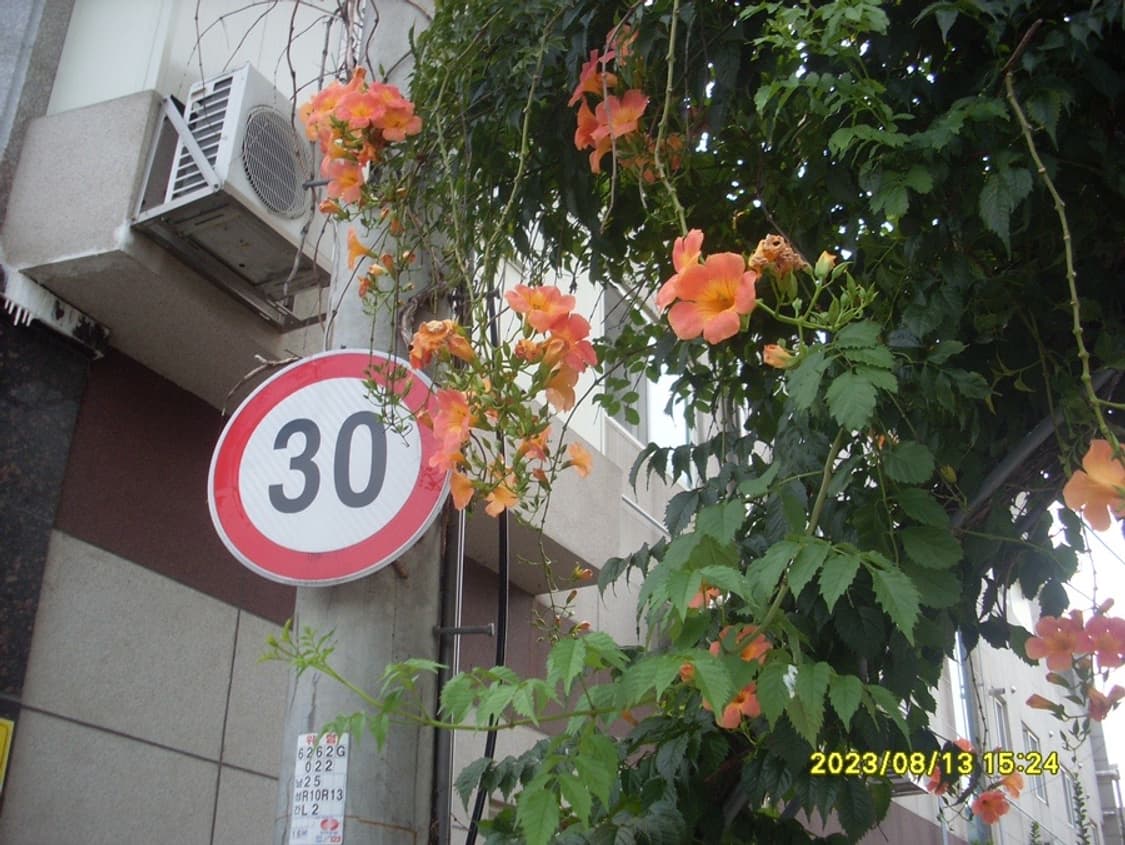 삼성 VLUU L830 디카 판매합니다 (작례 O) 상품이미지8