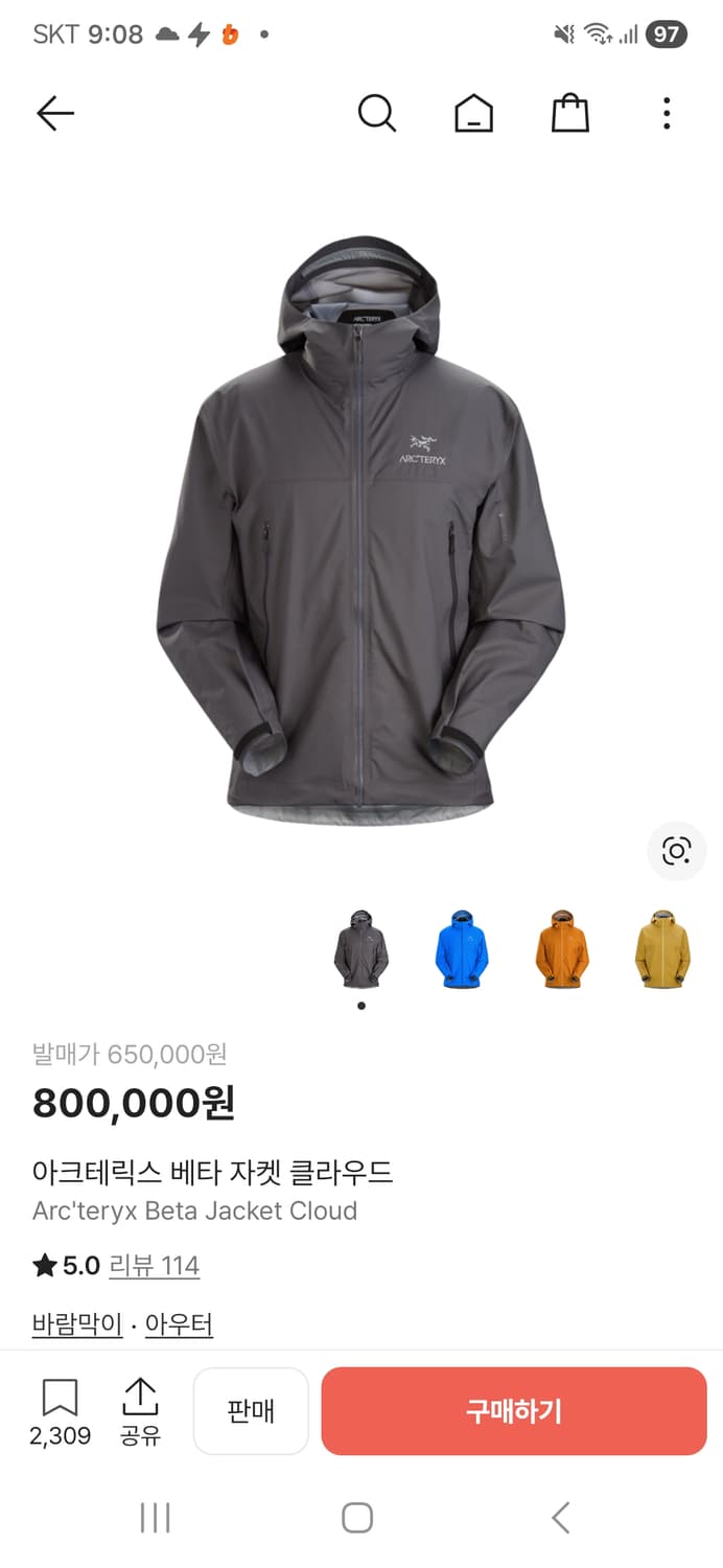 아크테릭스 베타 클라우드 L 상품이미지1