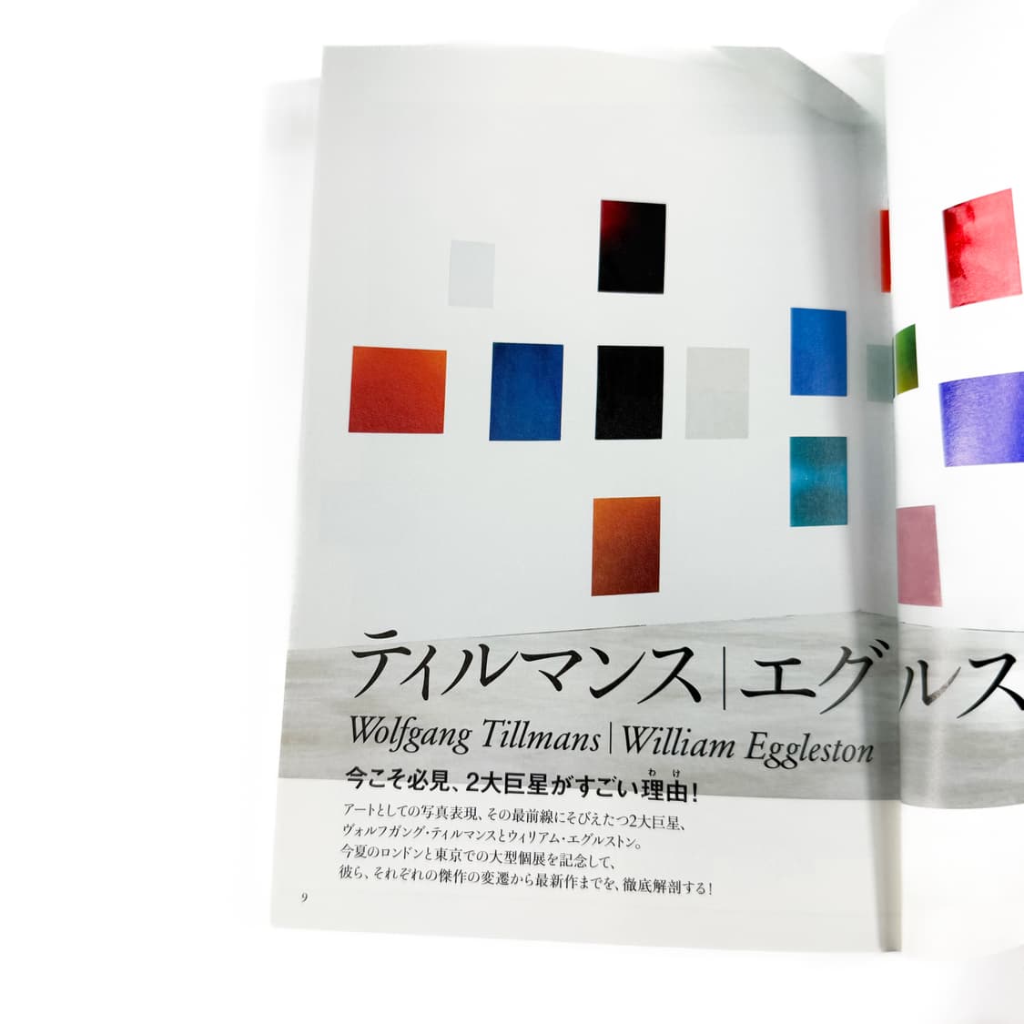 美術手帖 Wolfgang Tillmans , William Egglest 상품이미지4
