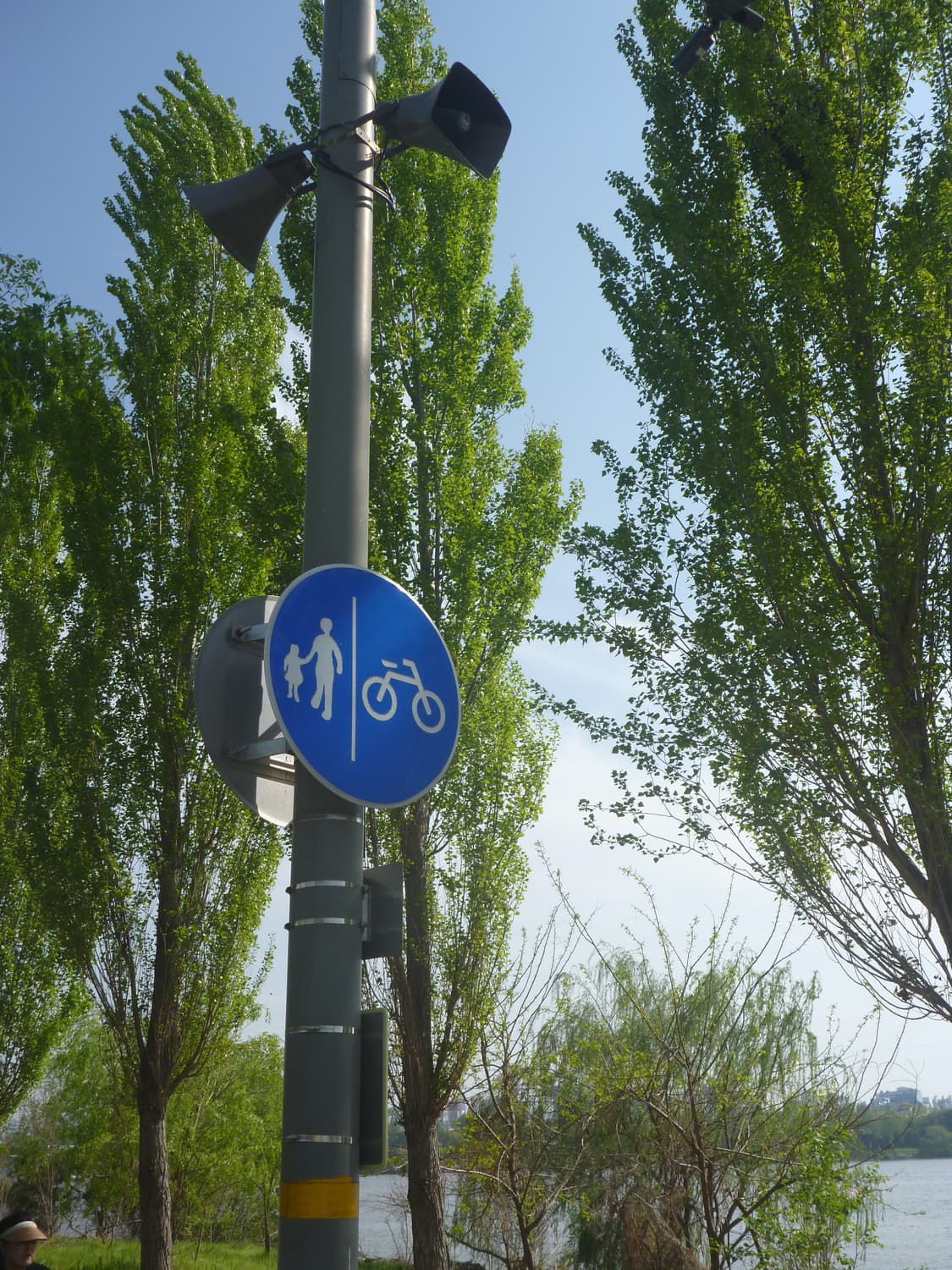 희귀컬러 ! 파나소닉 루믹스 DMC-FT2 빈티지디카 디지털카메라 상품이미지3