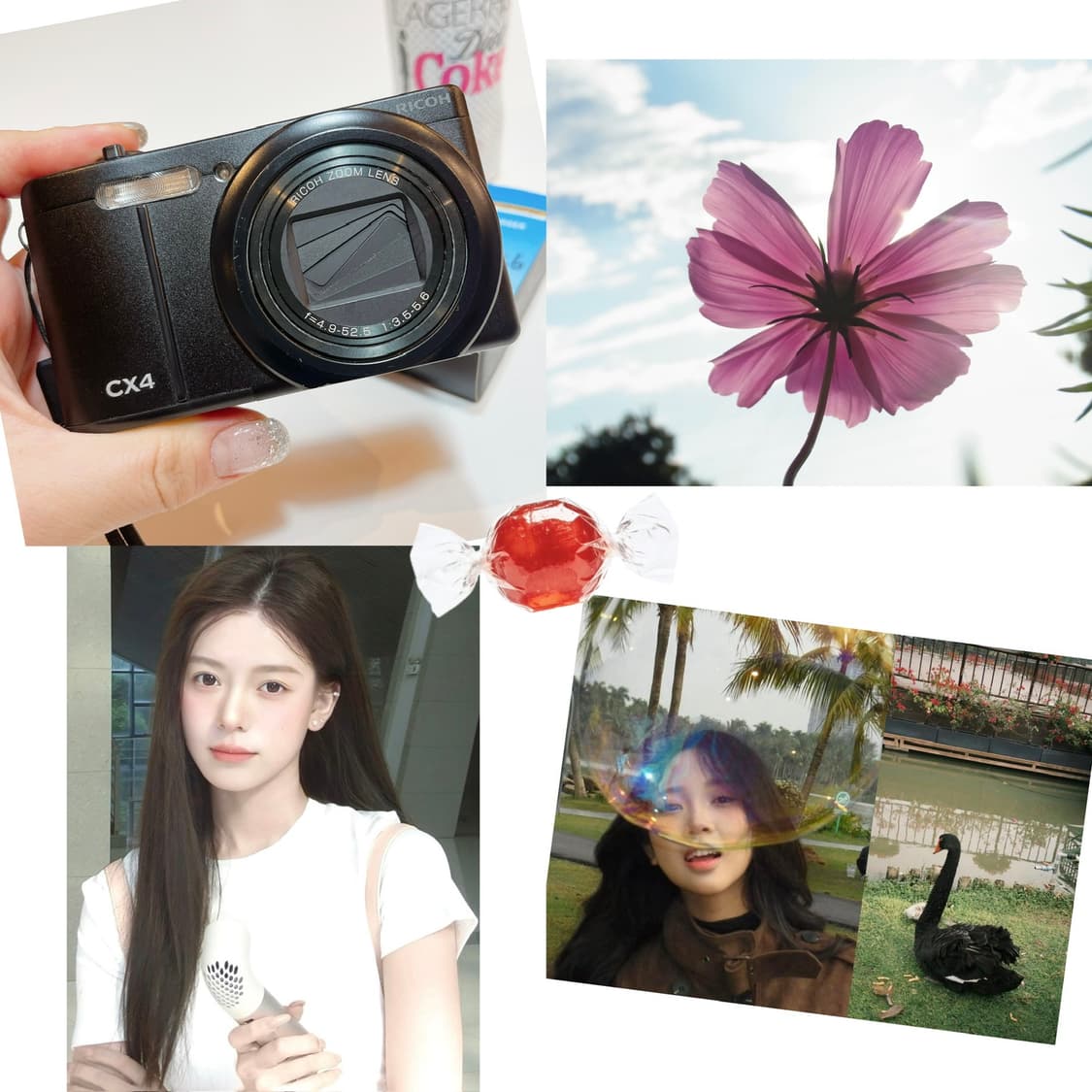 소프트포커스 기능 하이엔드 감성 리코 CX4 ricoh 상품이미지1