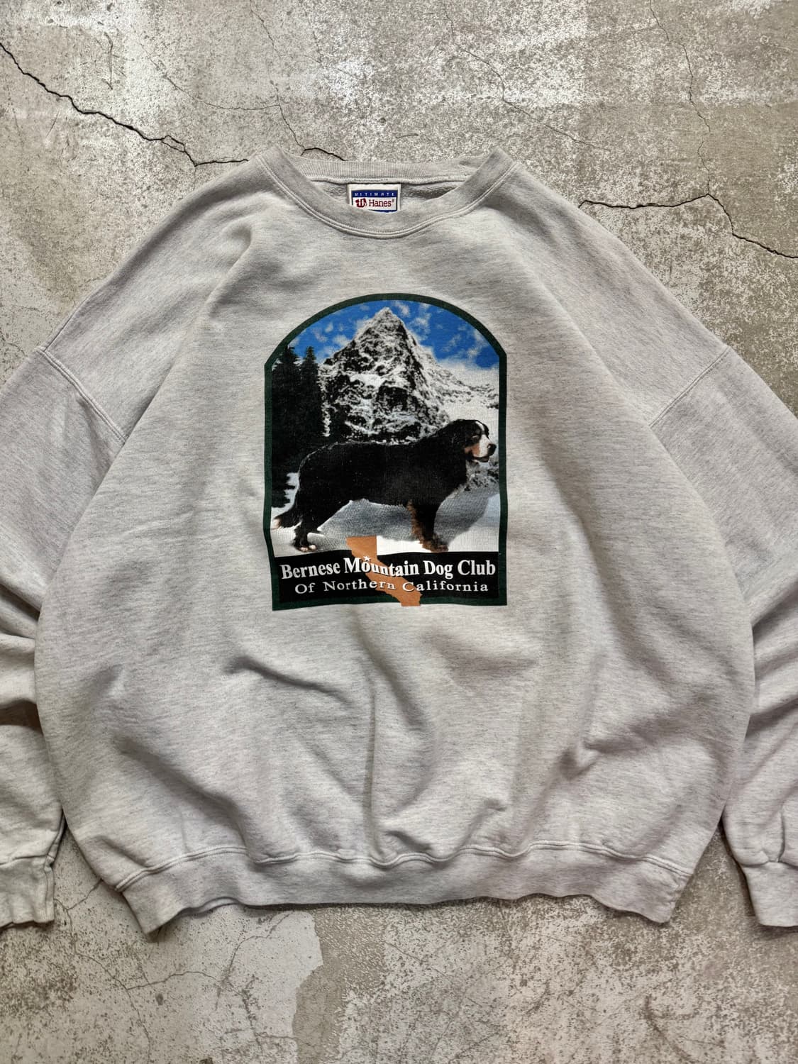 헤인즈 헤비코튼 세인트버나드 스웻셔츠 상품이미지2