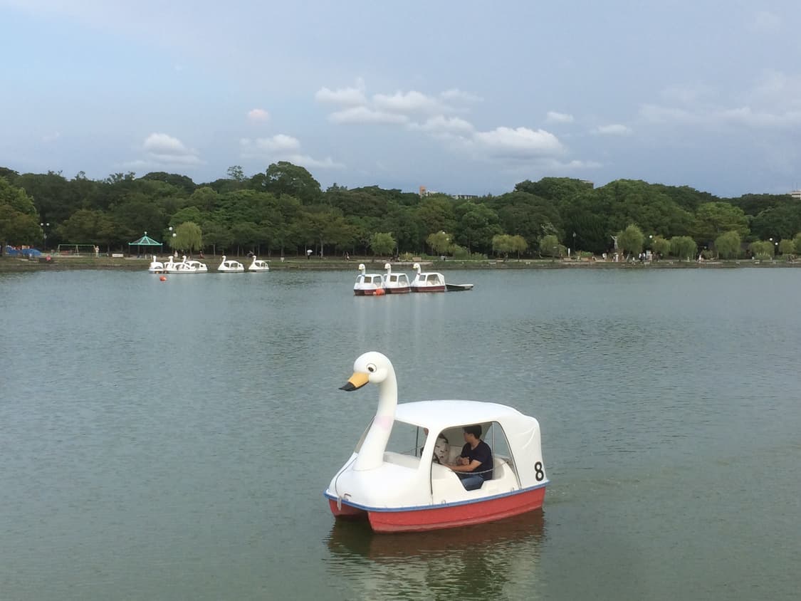 작례 있음) 아이폰 5s 16기가 샴페인 골드 정품 공기계 카메라 디카 상품이미지9