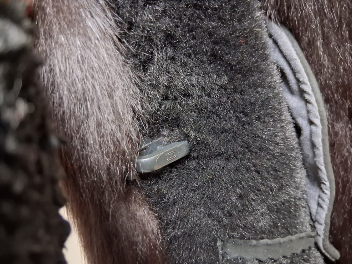 FONTELLI 여성 오리지날 블랙 무스탕 
검정양털무스탕 66 상품이미지10