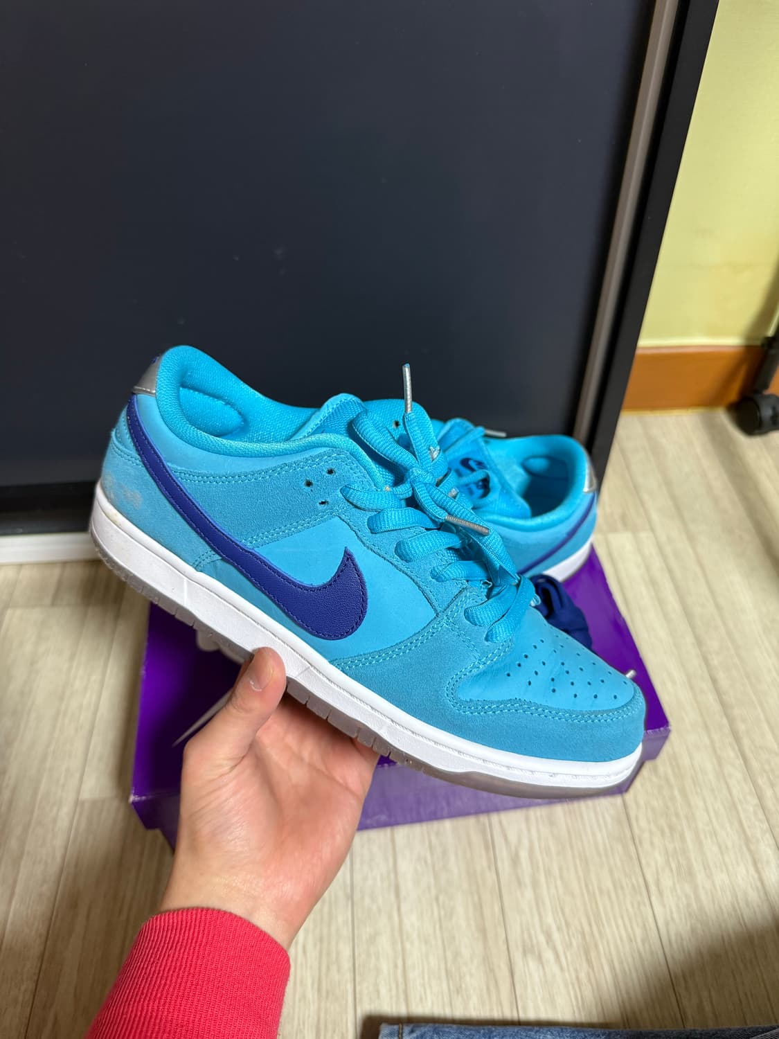 나이키 sb 덩크 로우 퓨리 상품이미지1