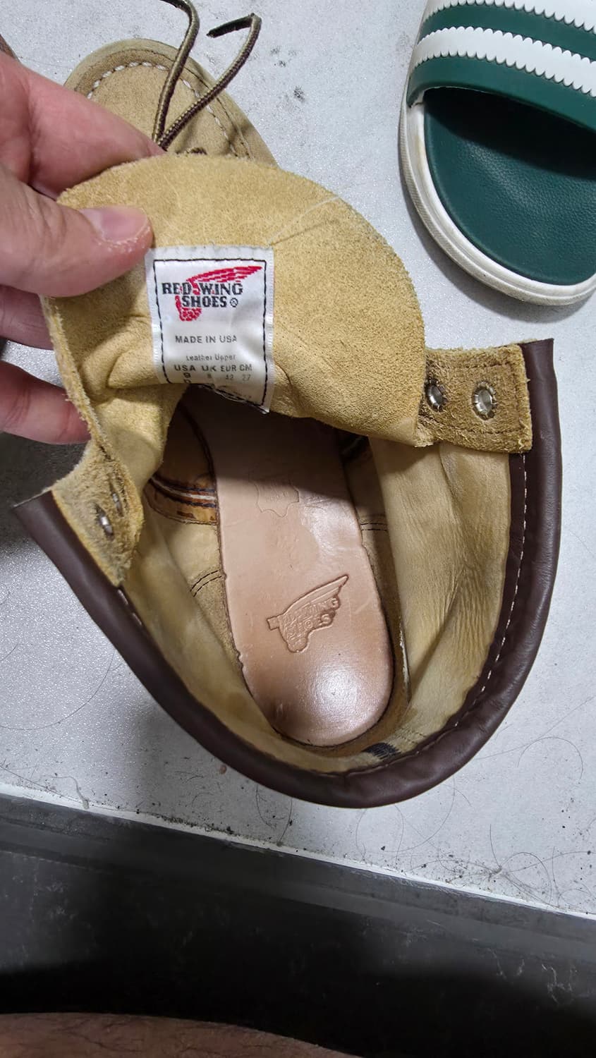 9D 사이즈 레드윙 8833 판매합니다
 상품이미지6