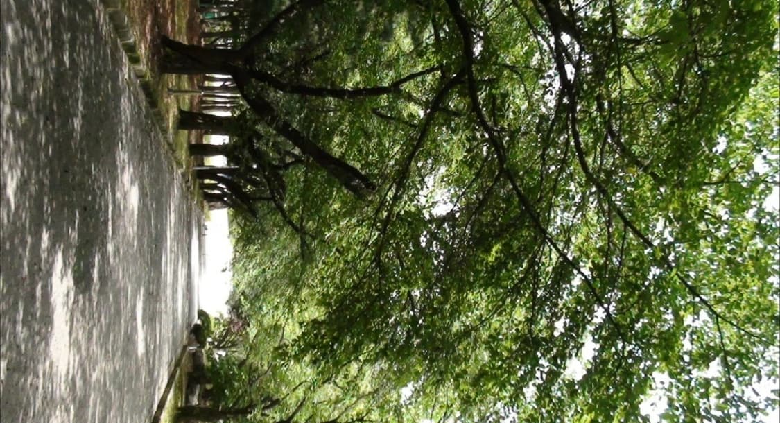 소니 HDR-CX120 빈티지 캠코더 상품이미지7