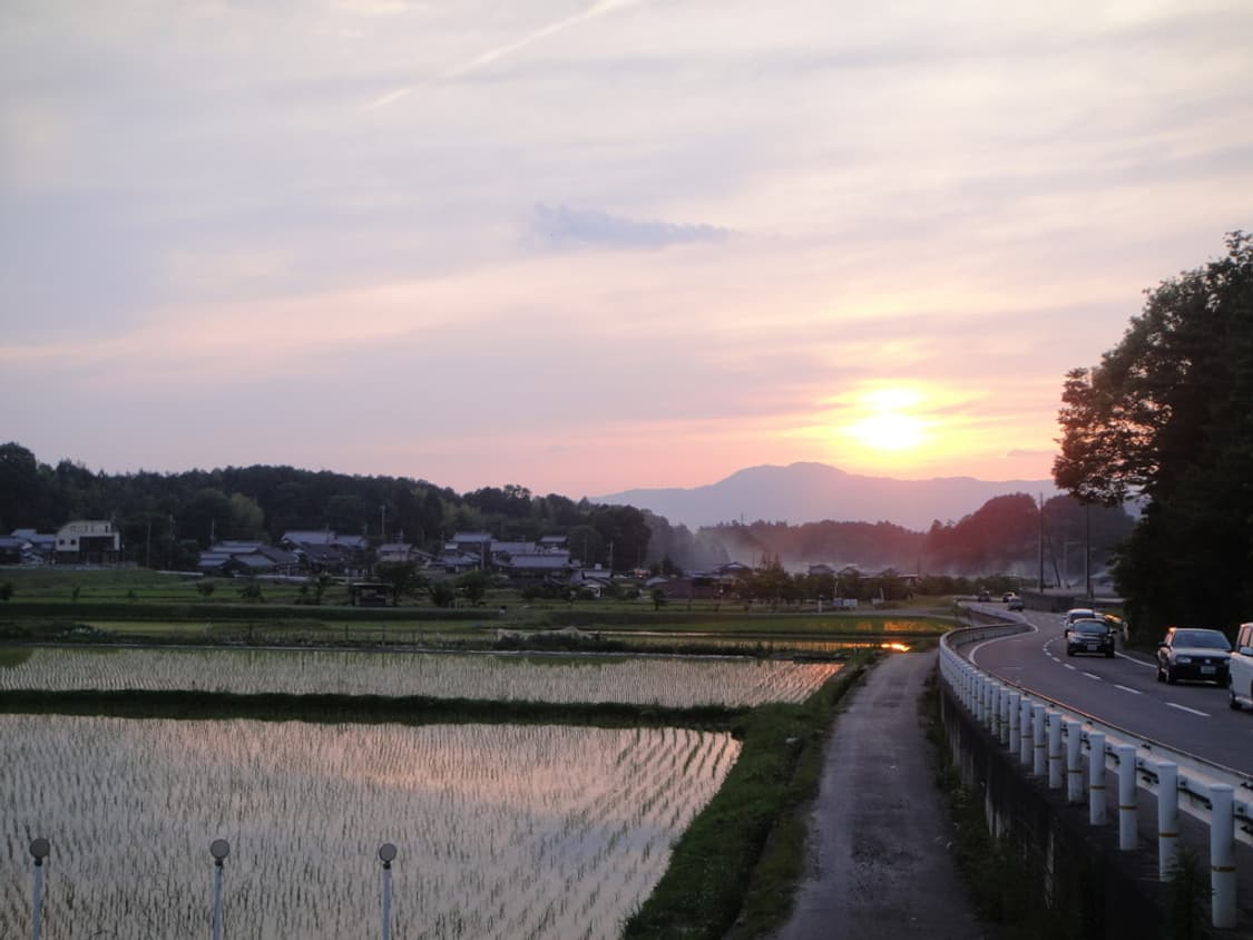 소니 사이버샷 Sony Cyber-shot DSC-T90 핫핑크 상품이미지3