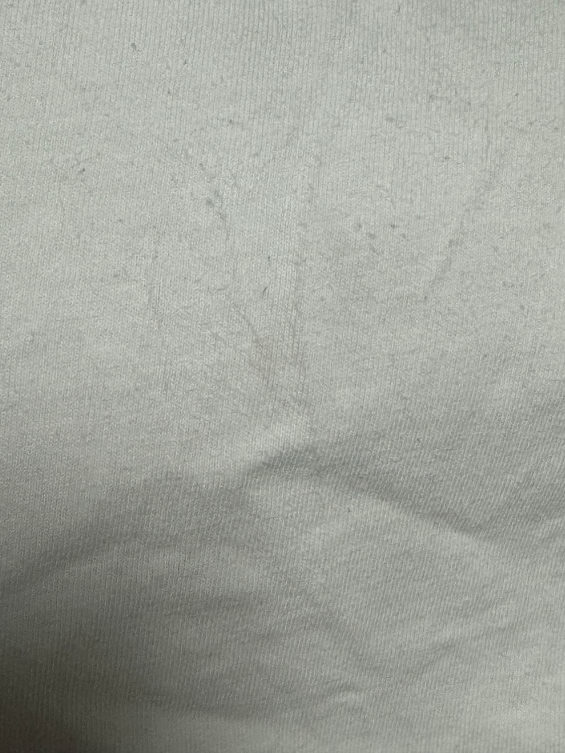 슈프림 23FW 페이먼트 티셔츠 화이트 상품이미지4