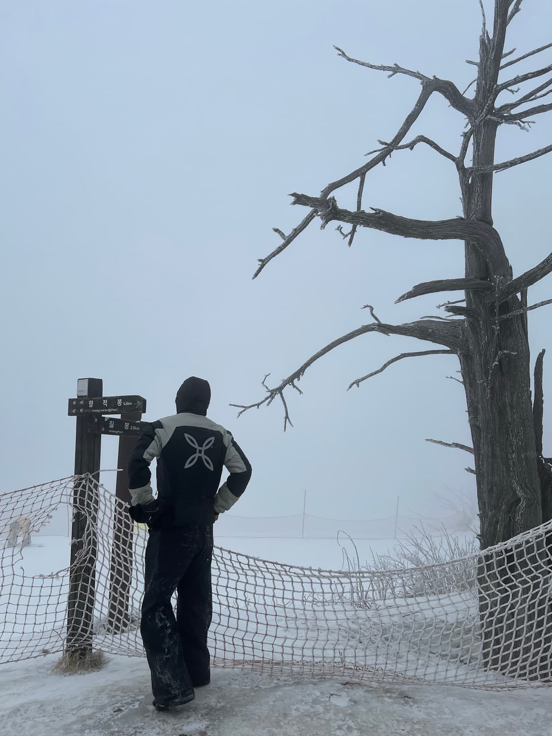 Montura Skisky  상품이미지8