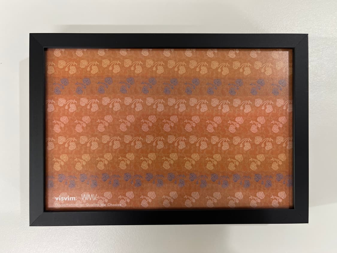 비즈빔 2025ss 컬렉션 아트 포토 visvim 상품이미지1