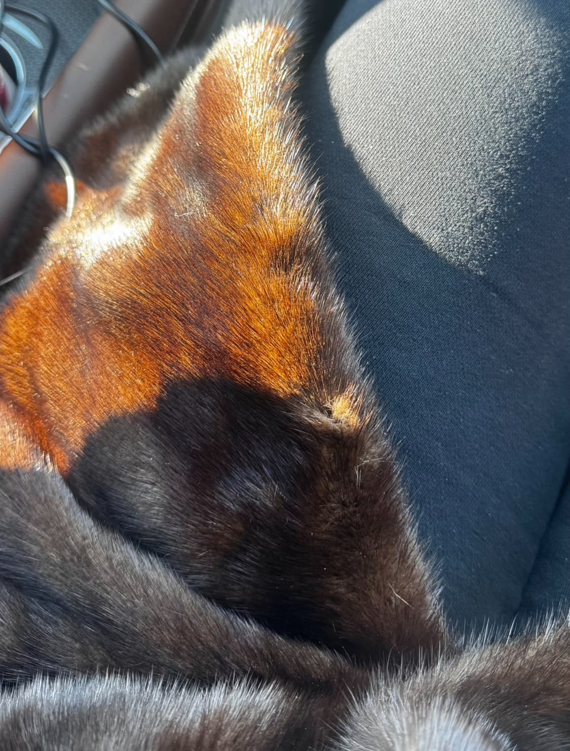 SAGA 사가밍크 풀스킨 롱 밍크 코트 (드라이해둠) 상품이미지8