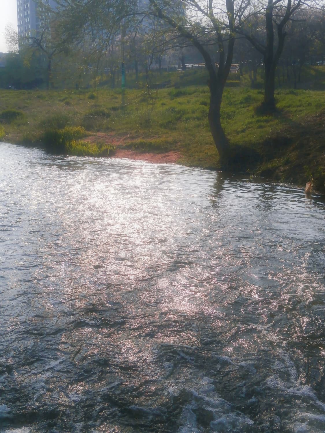 올림푸스 VH-210 체리레드 빈티지디카 상품이미지3