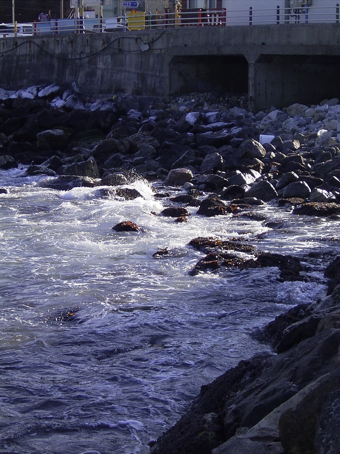 리코 카프리오 pro g3 상품이미지3