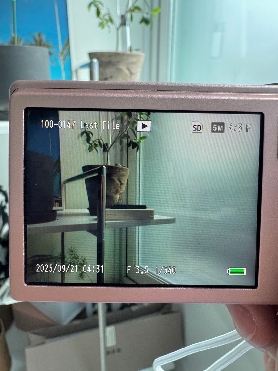 ricoh 리코 cx5 핑크 빈티지 디카 상품이미지9