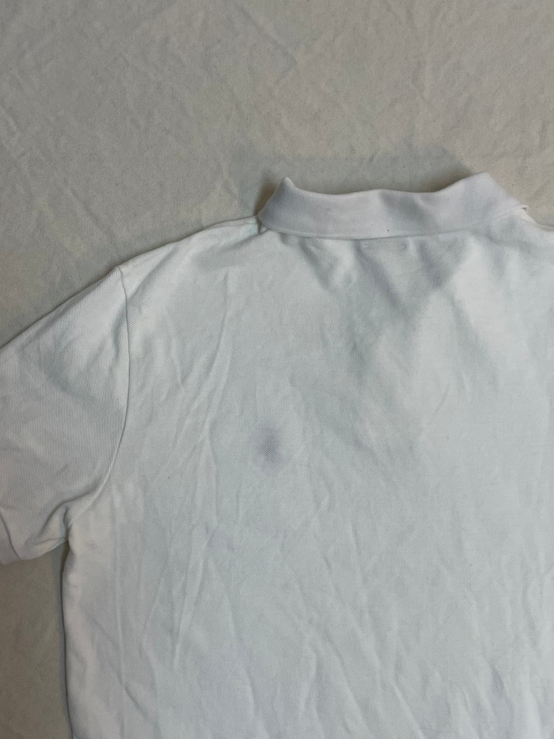 폴로 카라 반팔티 상품이미지10