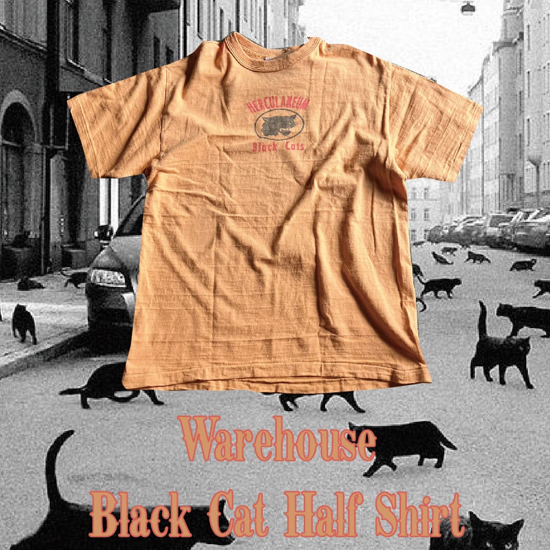 웨어하우스 블랙캣 하프셔츠 XL 상품이미지1