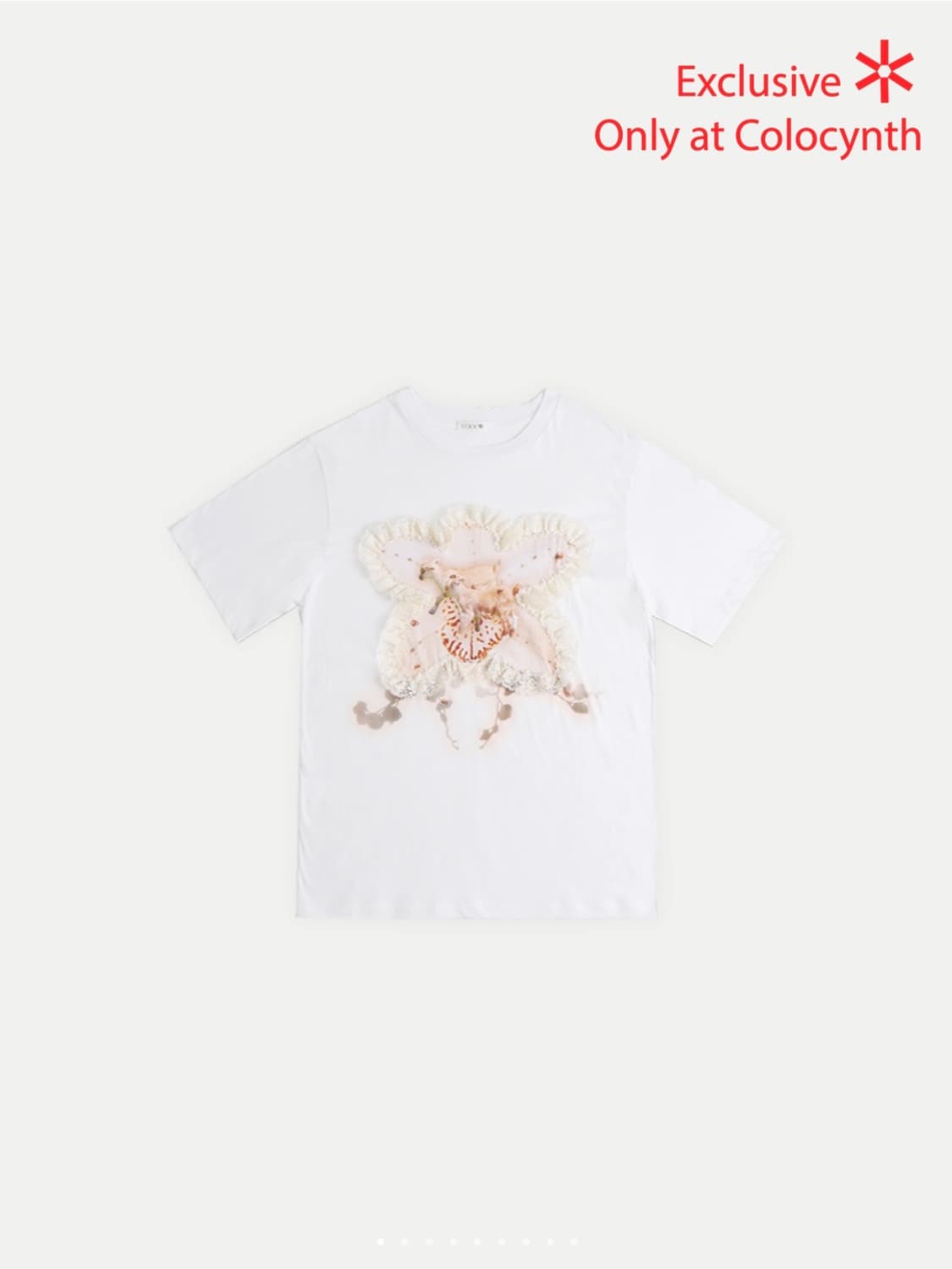 콜로신스 반팔 티셔츠 KIDDY & LADYBUG T-SHIRT WHIT 상품이미지1