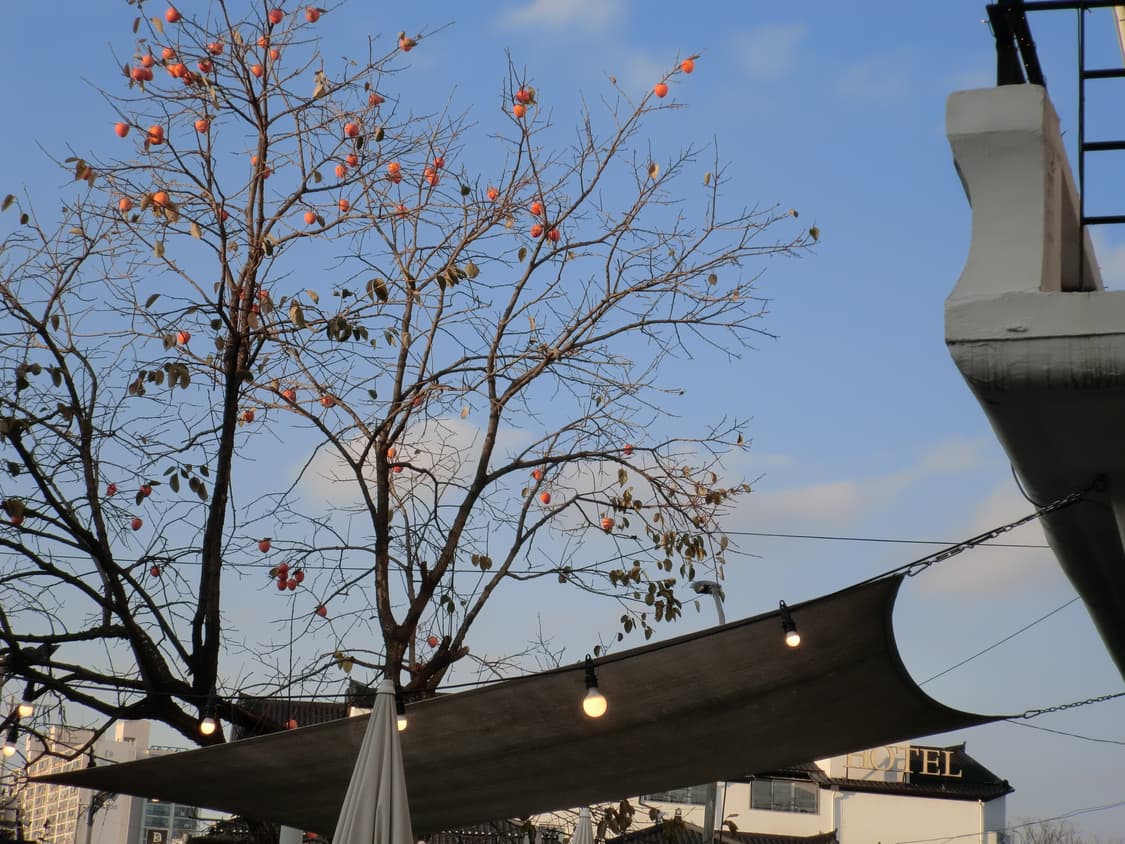 [작례O] 카시오 Z2300 핑크 디카 상품이미지3