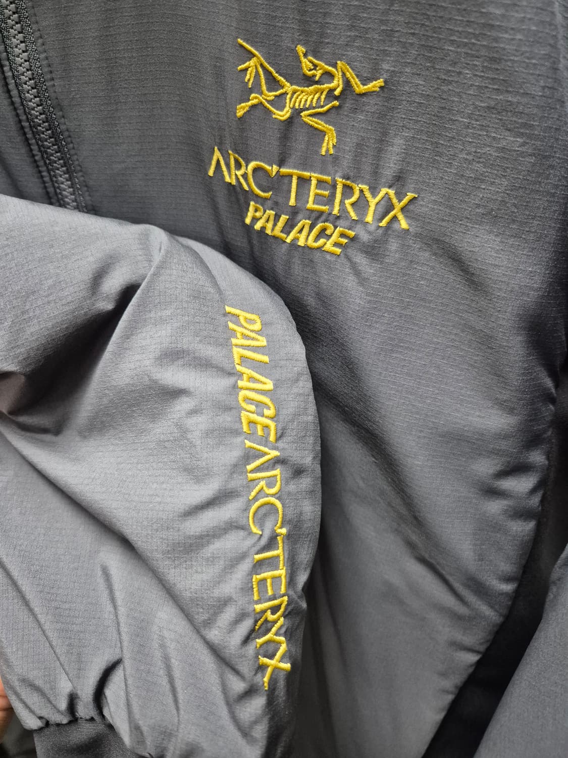 M) 아크테릭스 팔라스 아톰 Lt 자켓 상품이미지3