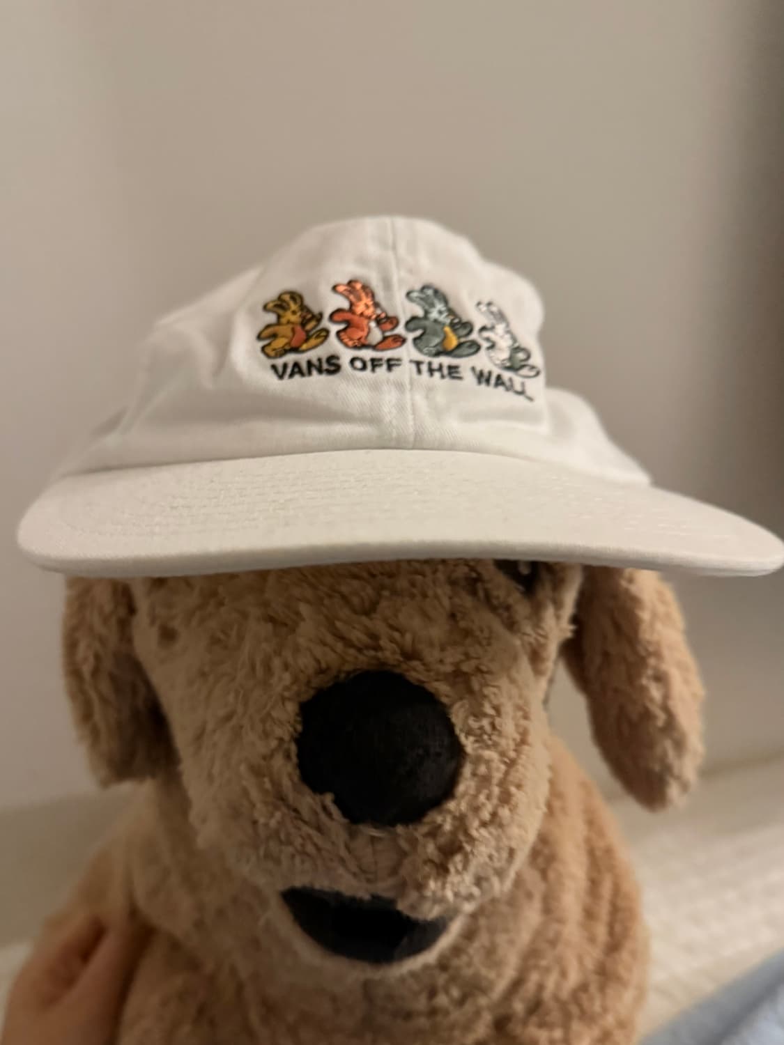 Vans 캠프캡  상품이미지1