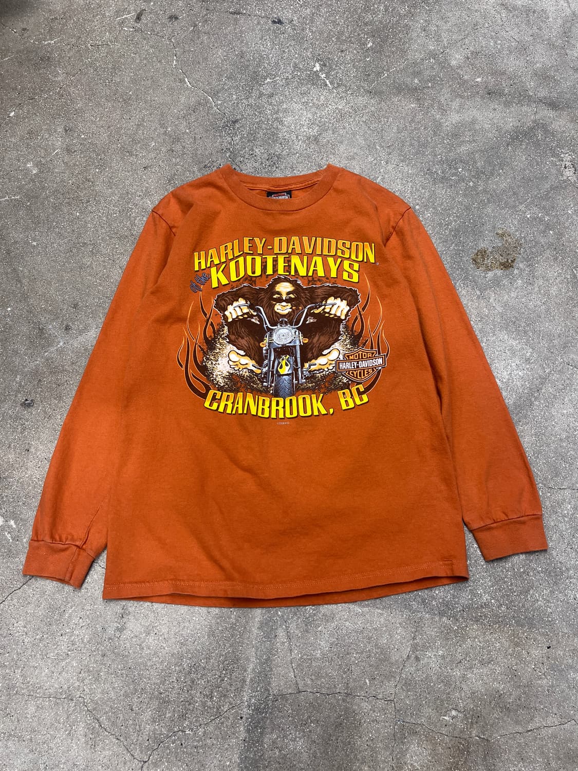 00‘s 할리데이비슨 코테네이즈 롱 슬리브 티 상품이미지1