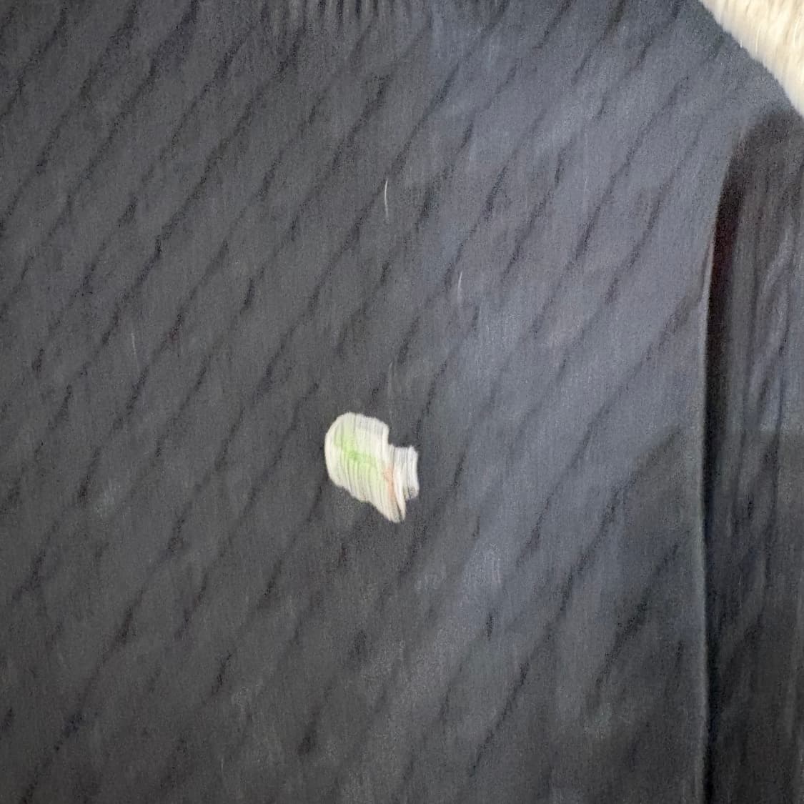 라코스테 니트 상품이미지2