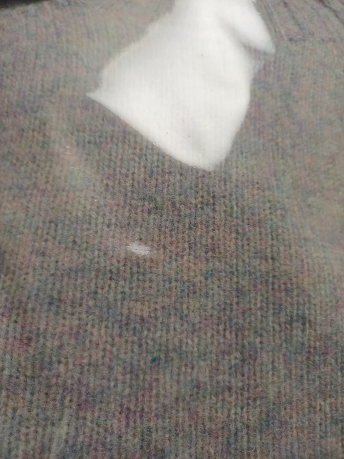 할리오브스코틀랜드 쉐기독 우기펄 상품이미지1