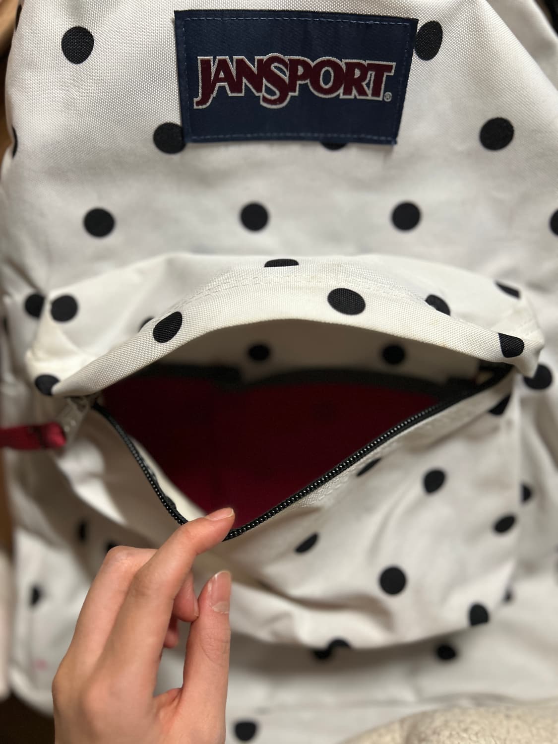 잔스포츠 도트 절판 백팩 상품이미지5