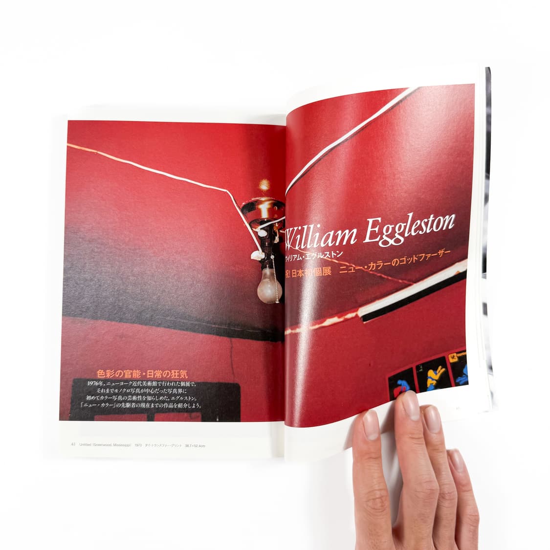 美術手帖 Wolfgang Tillmans , William Egglest 상품이미지2