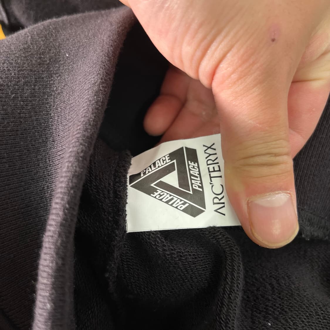 105 아크테릭스 x 팔라스 후드티 상품이미지6