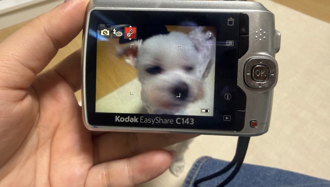 코닥이지쉐어 c143 키키디카! 상품이미지3