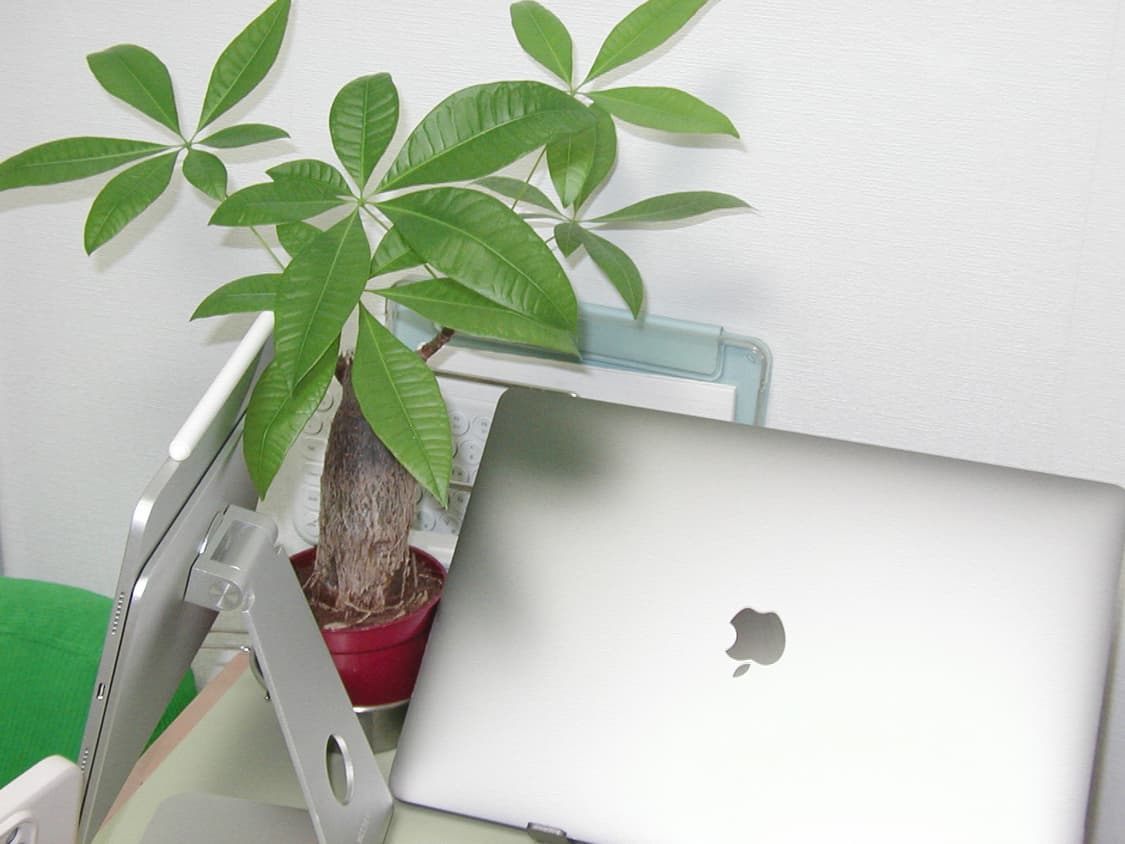 올림푸스 카메디아 D510 ZOOM 빈티지 디지털카메라 상품이미지8