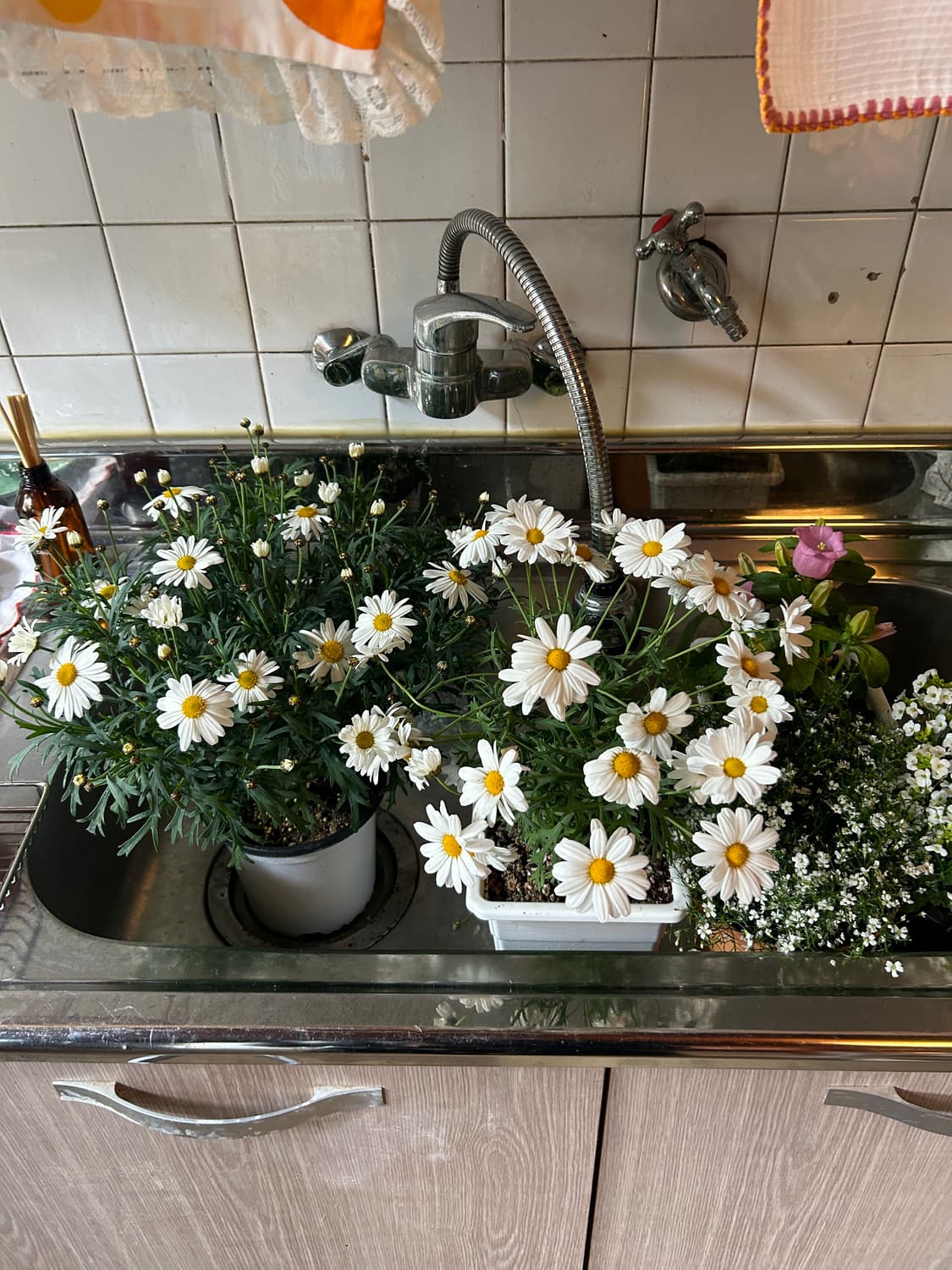 가게 오픈했어요  상품이미지3