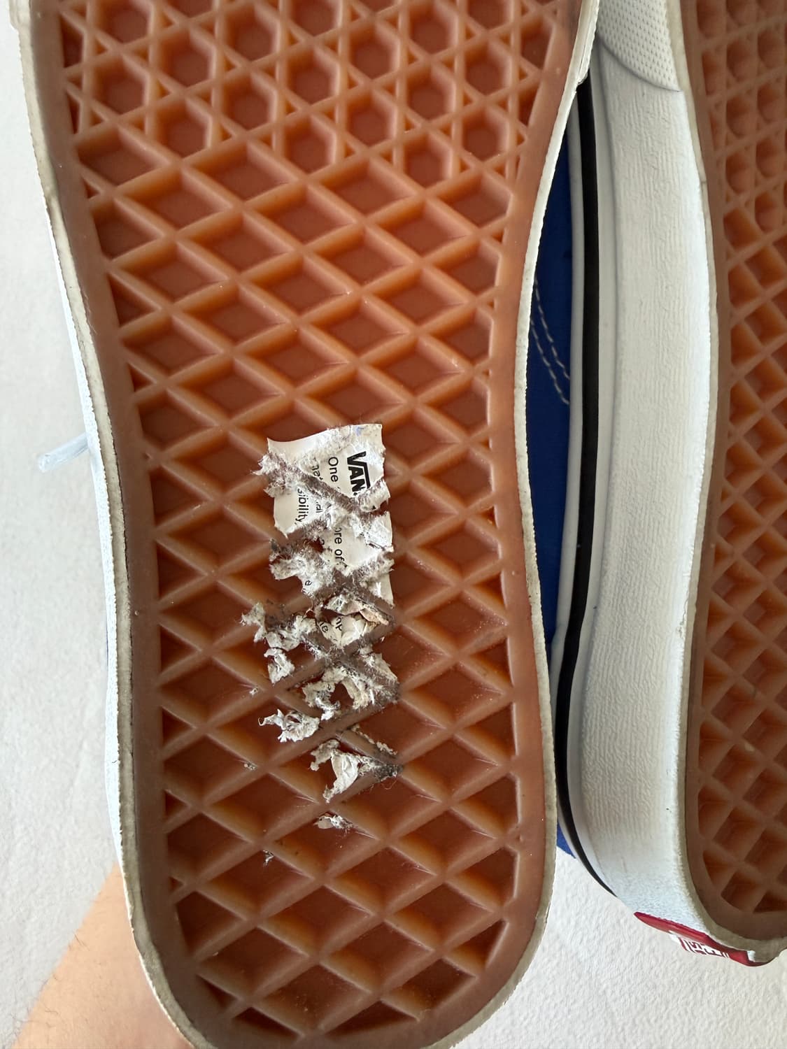 [235]반스(Vans) 스웨이드 스케이터 로우  상품이미지9