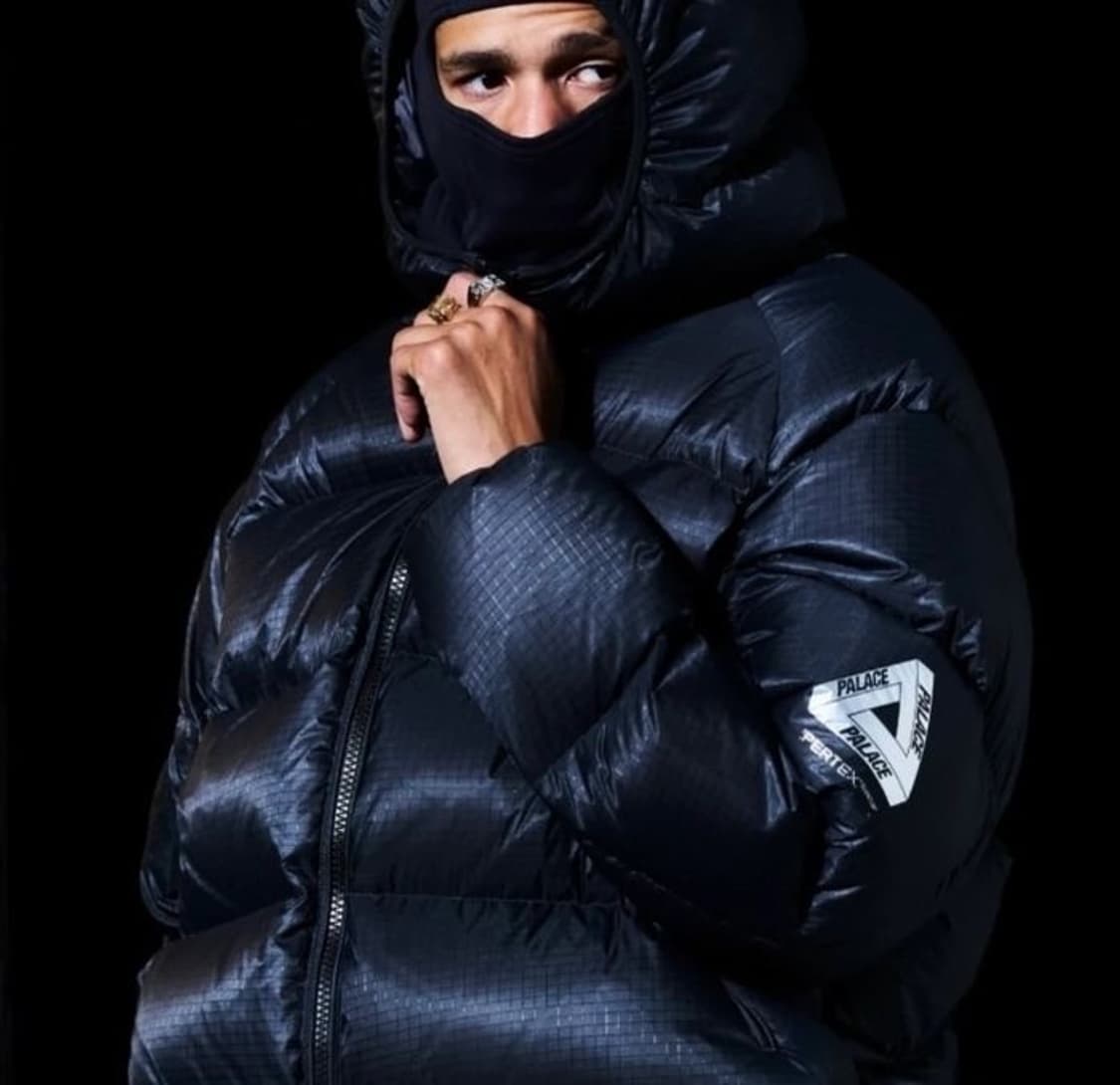 팔라스 패딩 - 25FW 상품이미지3