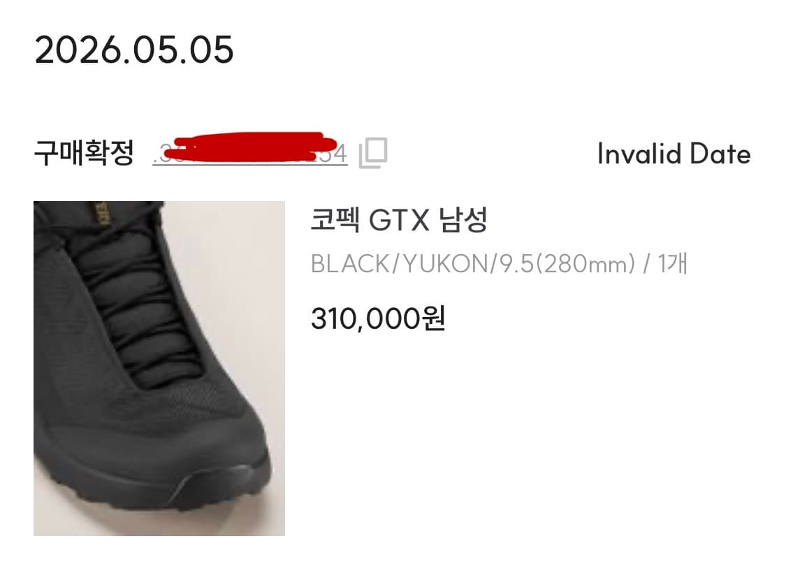 아크테릭스 코펙 GTX 고어텍스 280 상품이미지2