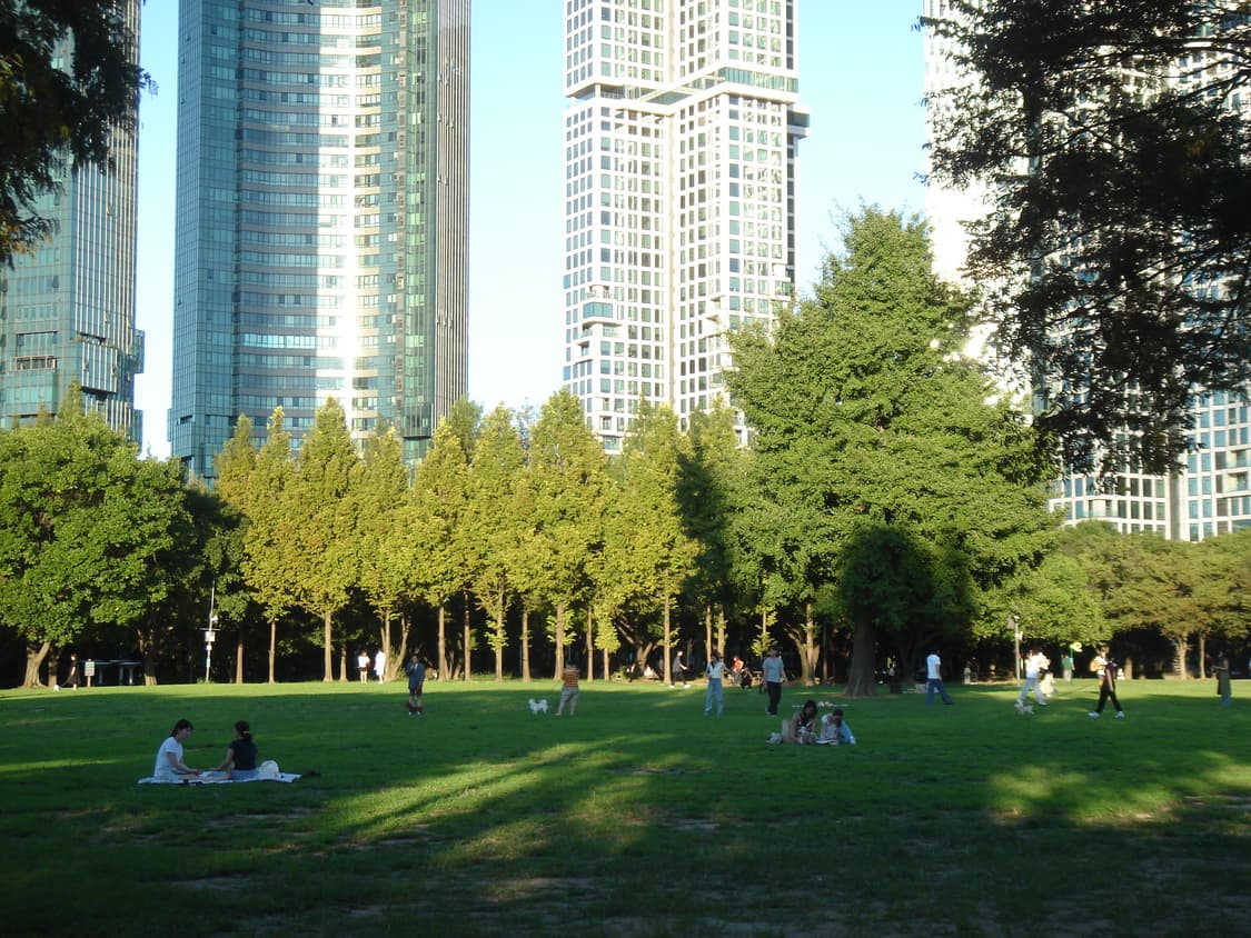 sony cybershot 소니 사이버샷 dsc t5 실버 상품이미지7