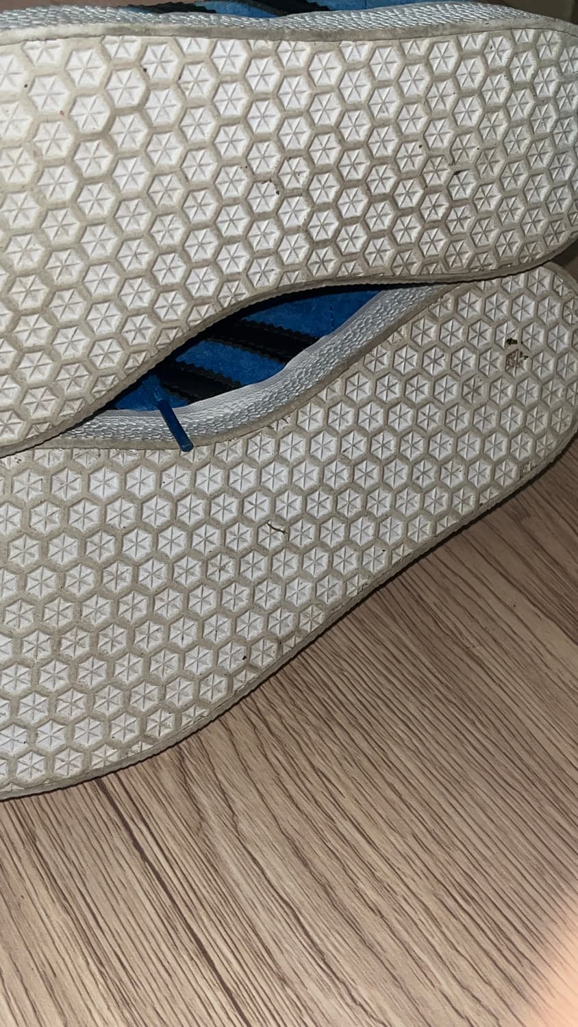 아디다스 가젤 상품이미지5