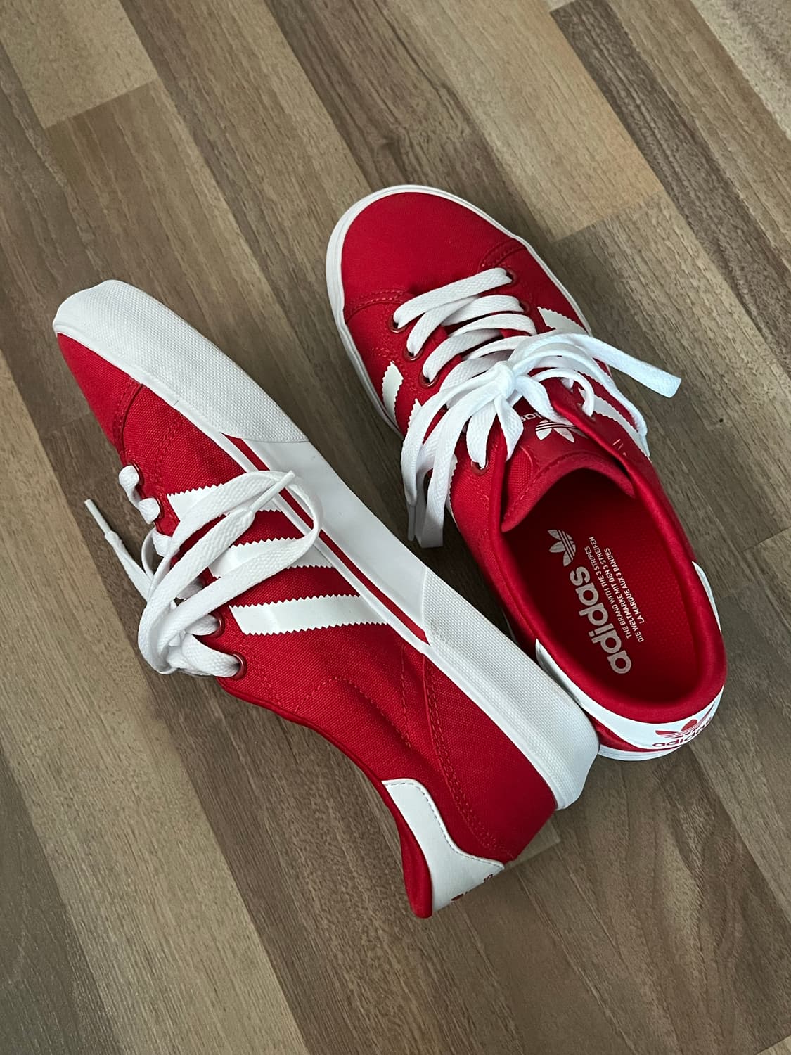 (250)아디다스 아바카 레드 상품이미지2