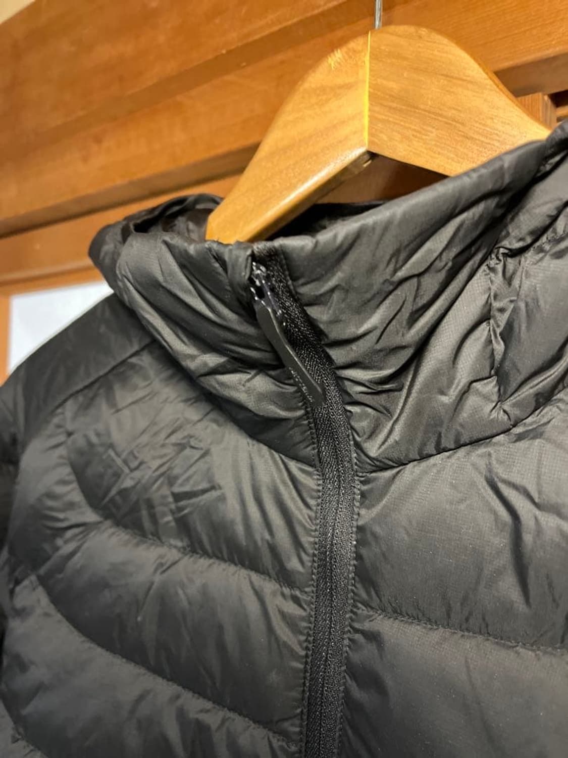 (L) 아크테릭스 세륨 후디자켓 우먼스 상품이미지2